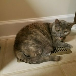 Meet your Posher, Nancy